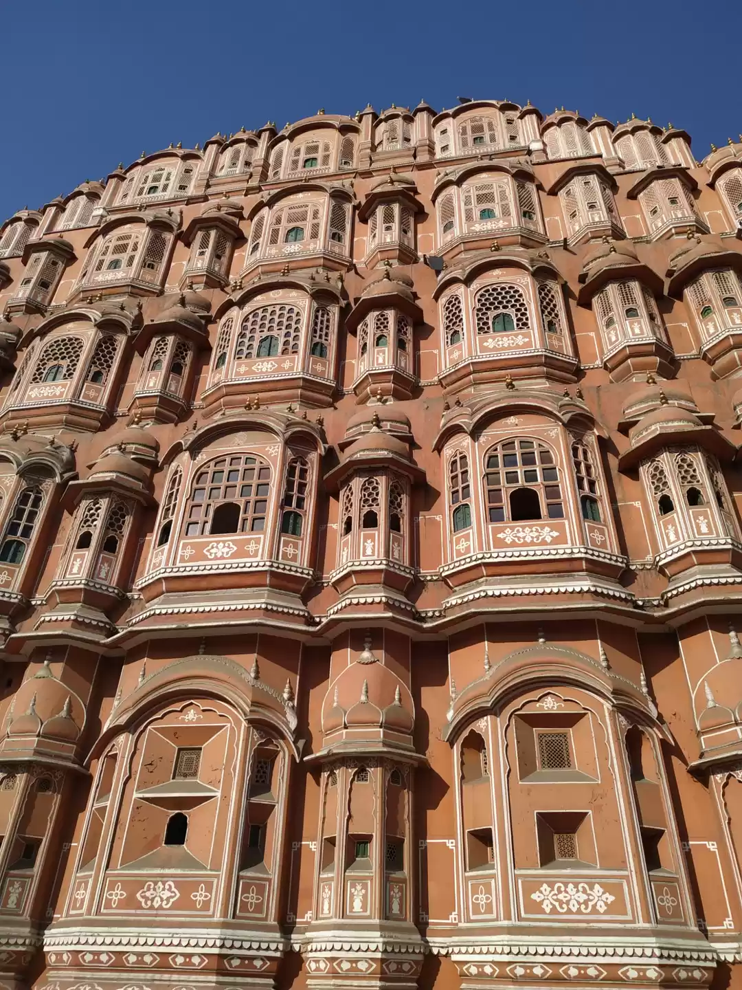 Photo of Radiant Rajasthan!!