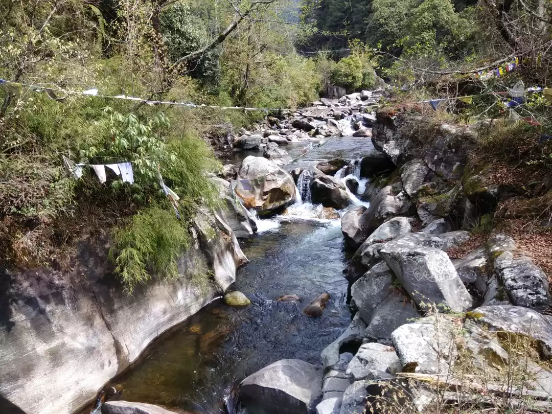 Photo of Truly amidst nature