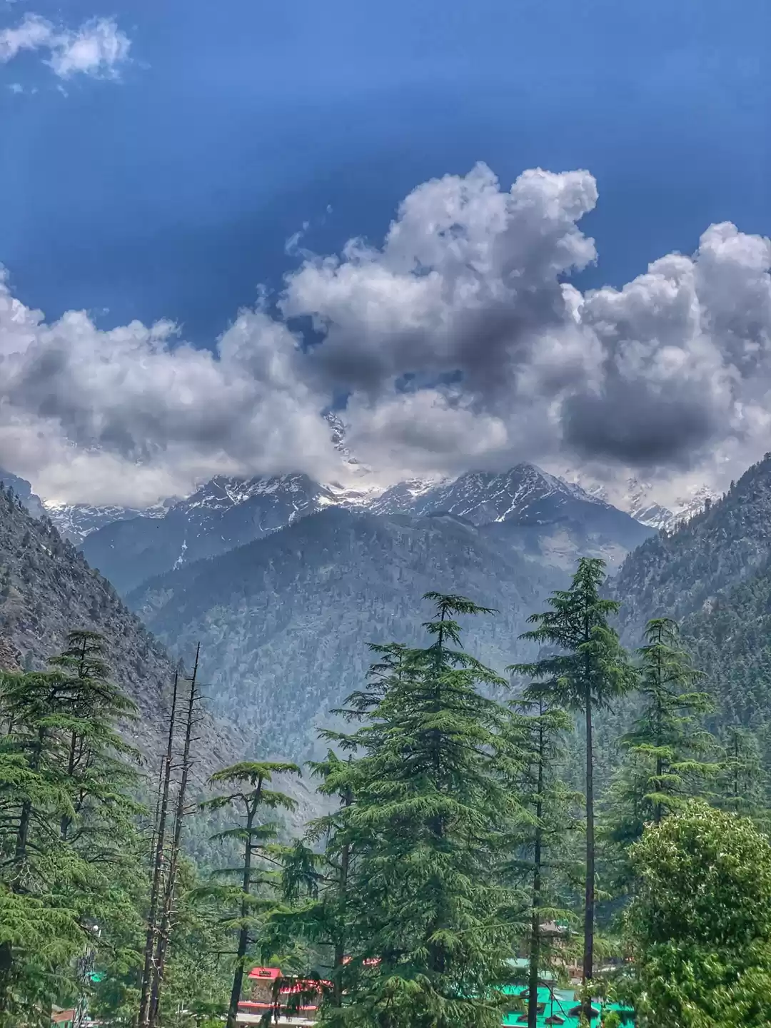 Photo of Best homestay in kas