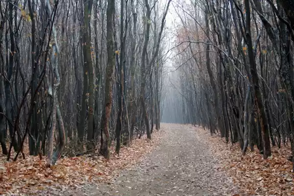 Photo of These 19 Nightmarish