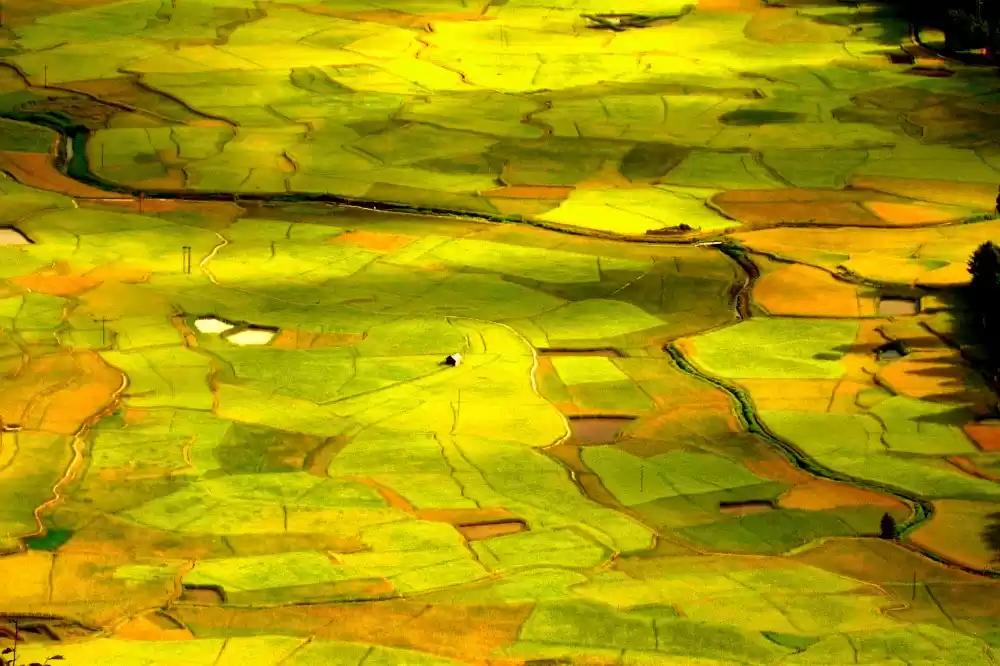 Photo of Arunachal Pradesh...