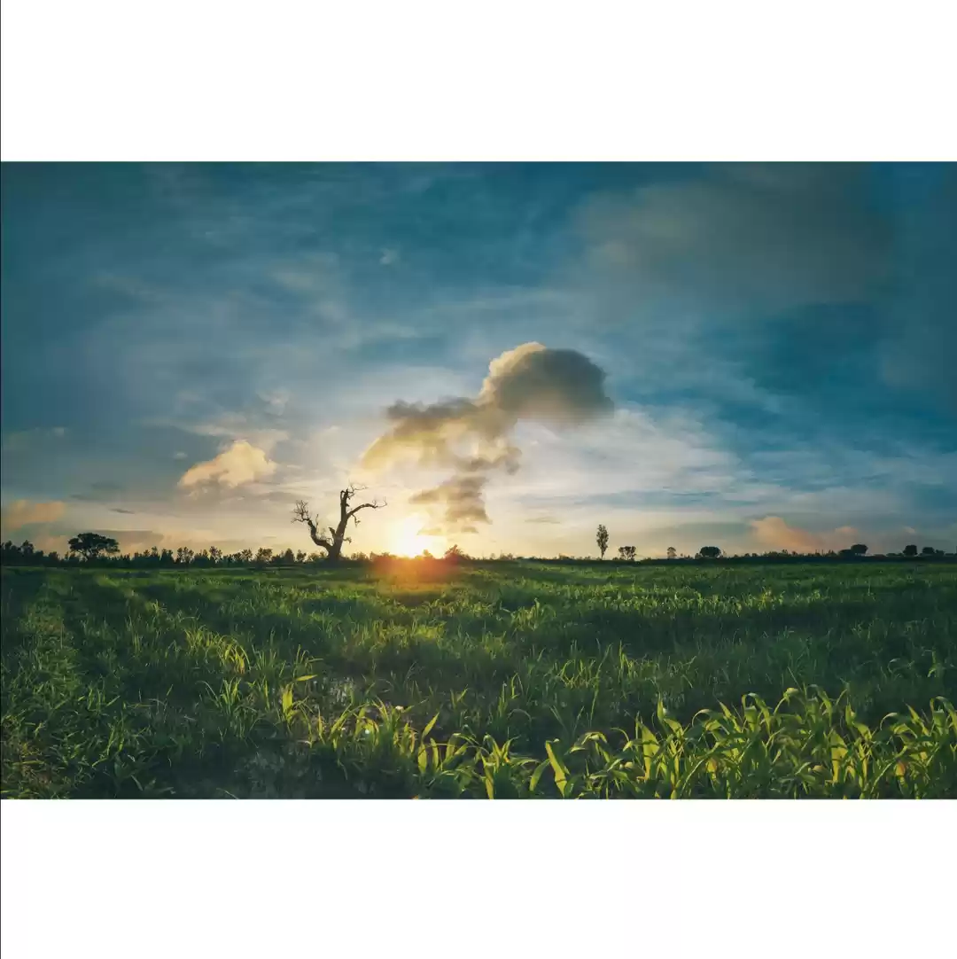 Photo of Shivagange: The most