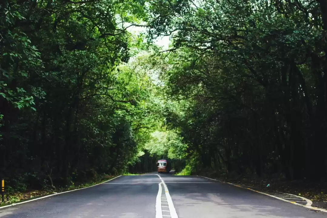 Photo of The recovery trip!