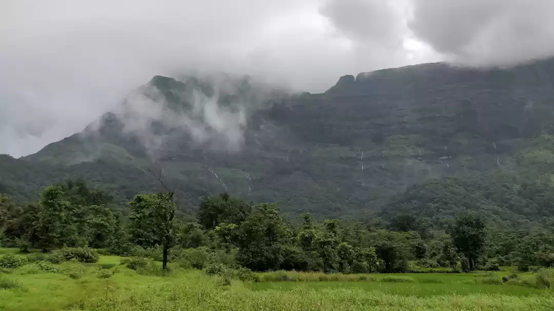 Photo of मलशेज घाट, मॉनसून और