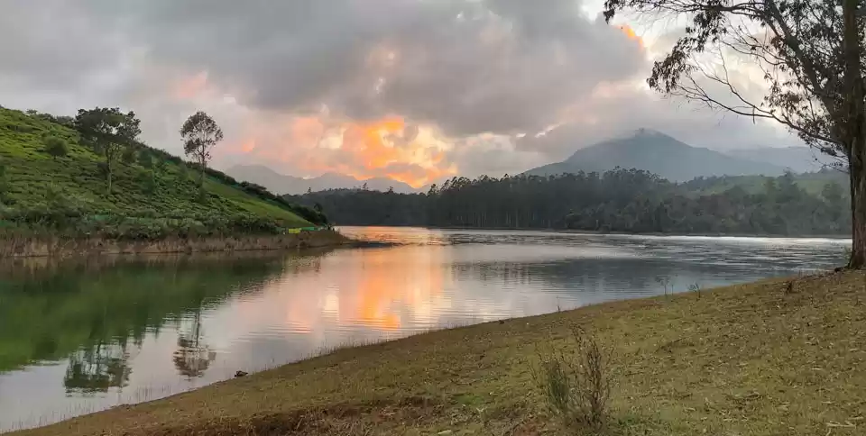 Photo of A Less-Travelled Pri