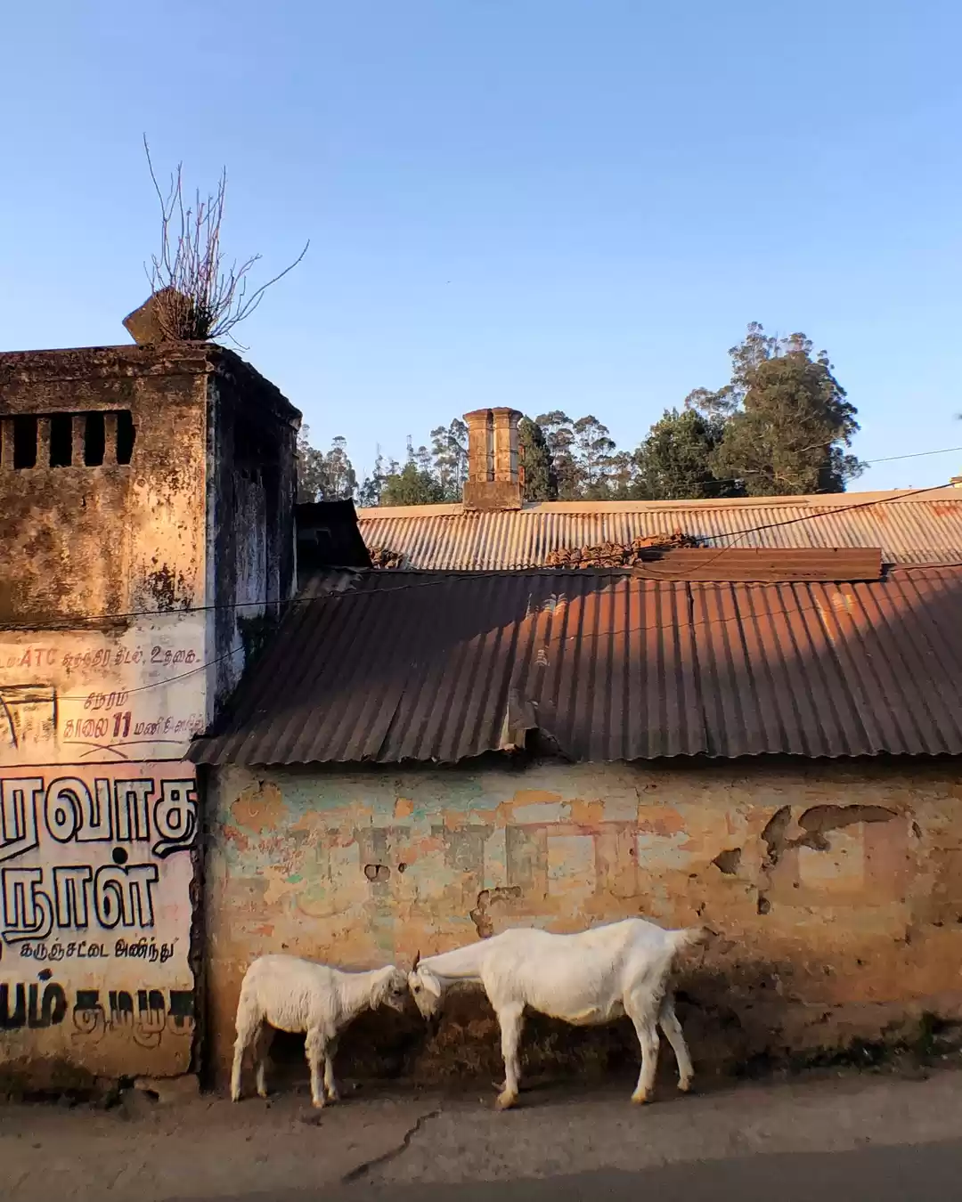 Photo of 22 Tips For Stunning