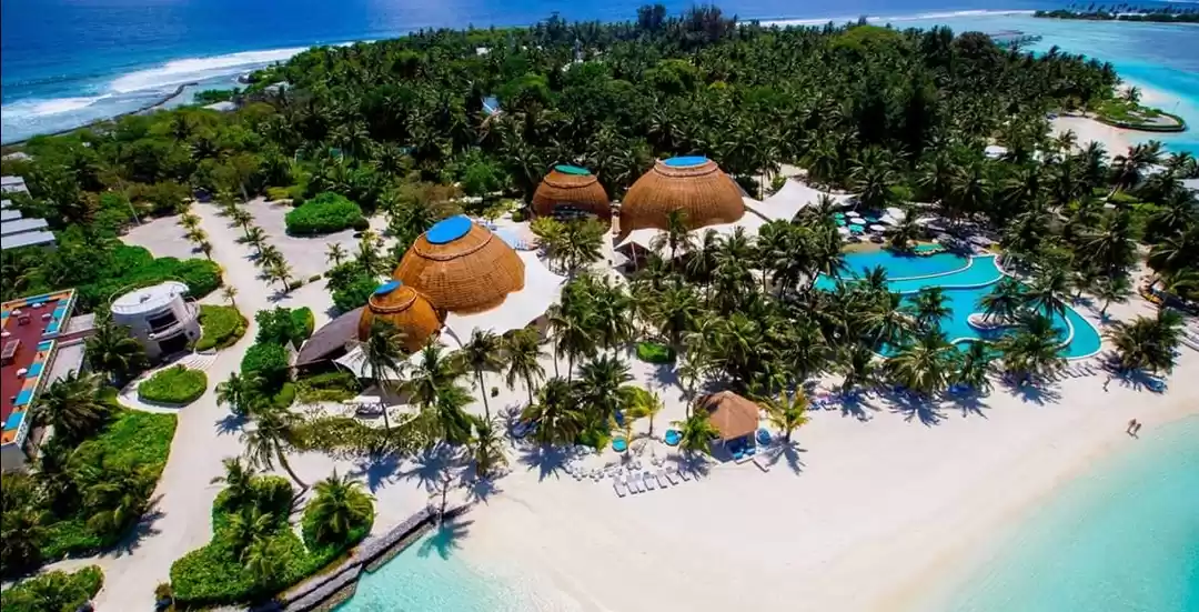 Photo of She sells sea shells