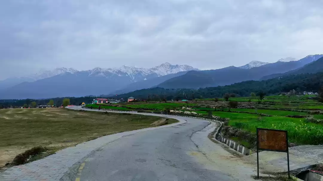 Photo of World's second highe