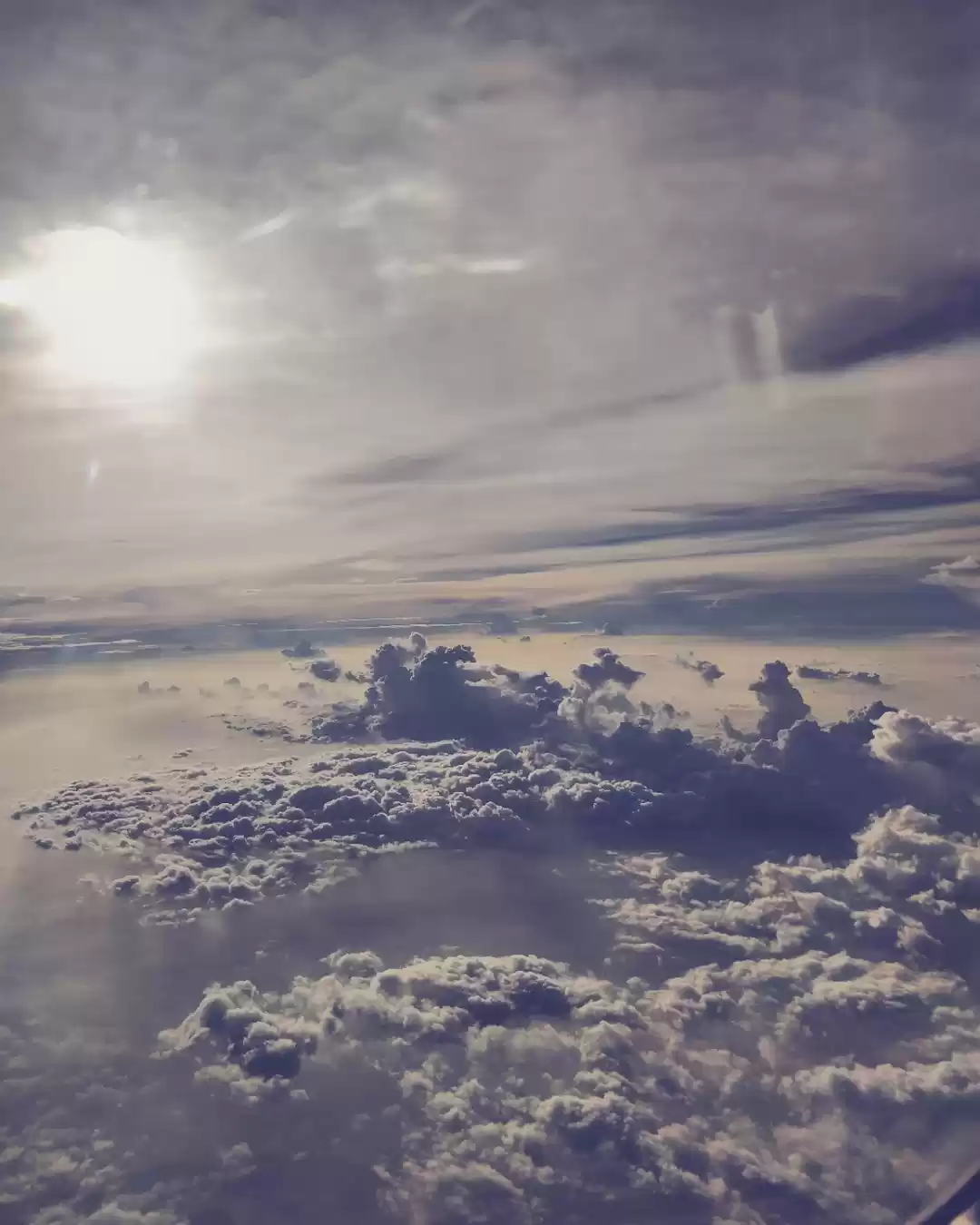 Photo of A frequent traveller