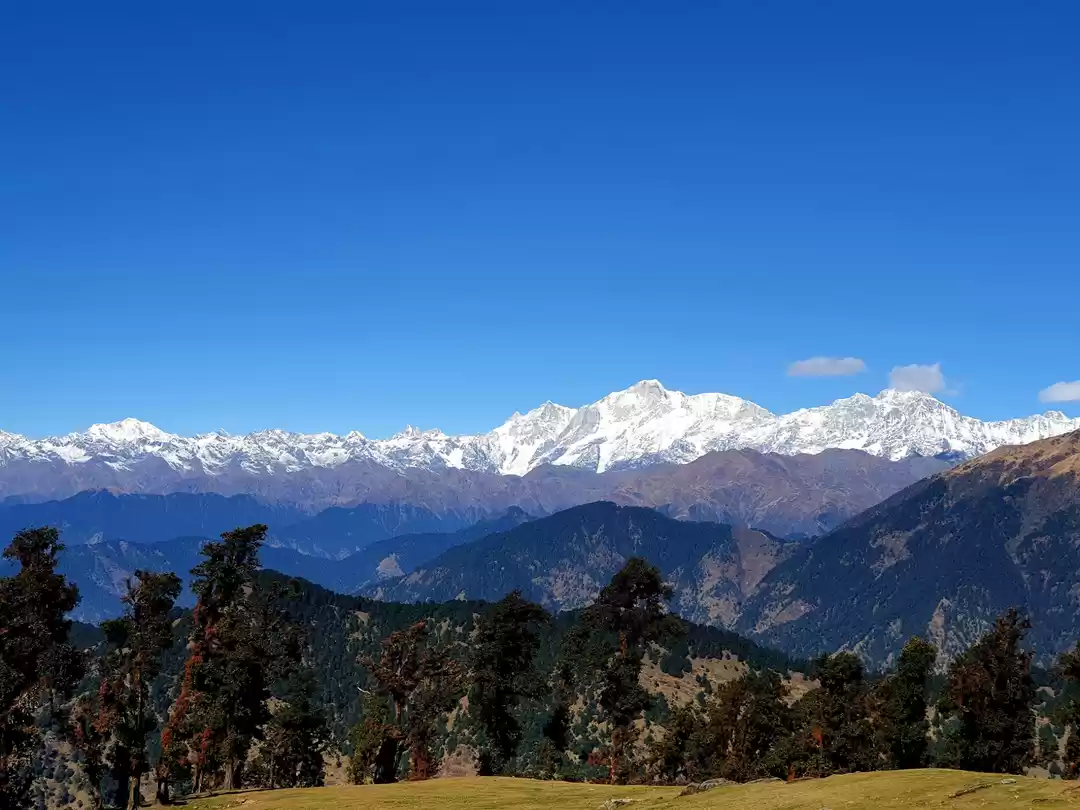 Photo of Chopta- Tungnath - D