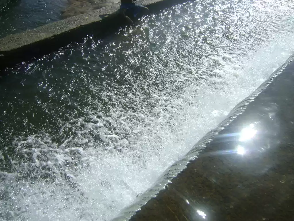 Photo of Woods in the deep so