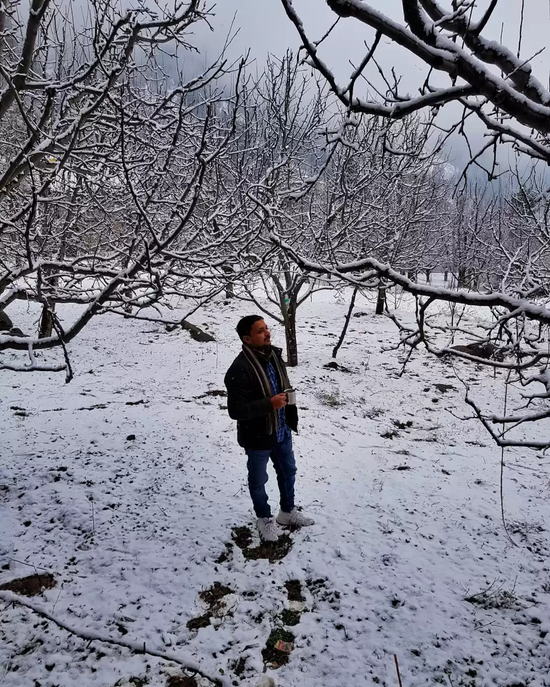 Photo of Solang Manali 