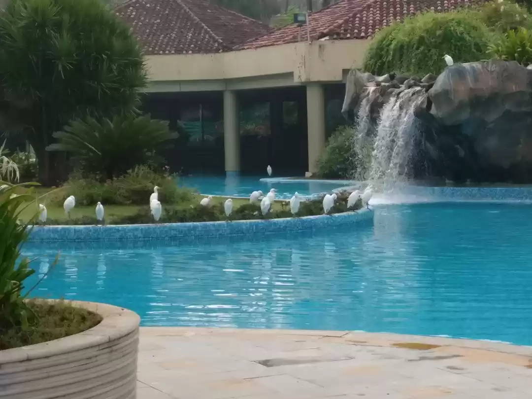 Photo of Great resort, but a