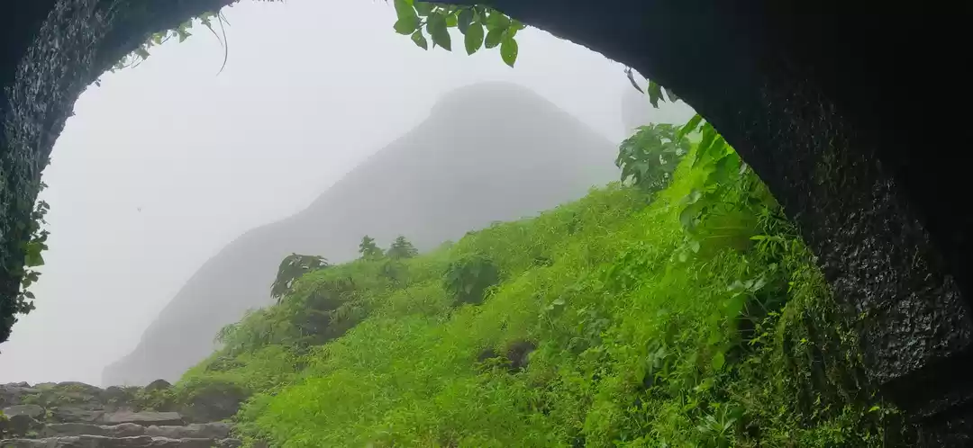 Photo of Torna Fort