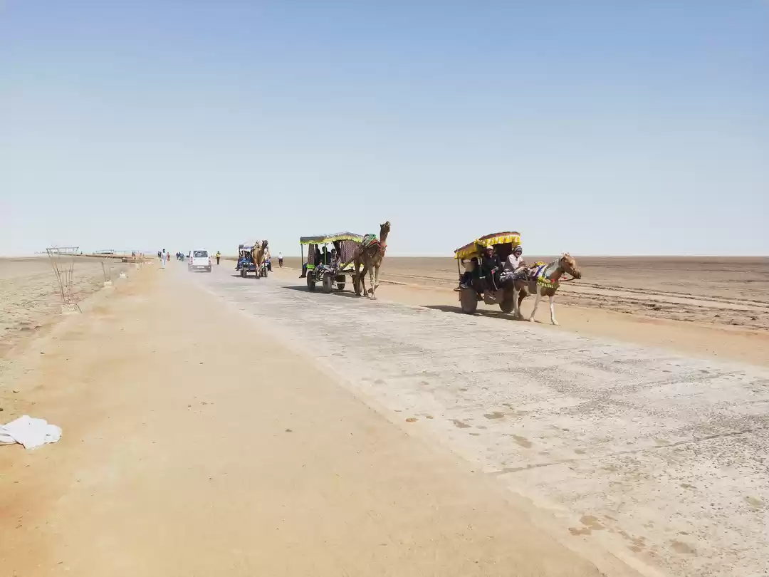 Photo of Desert of Salt,Whit