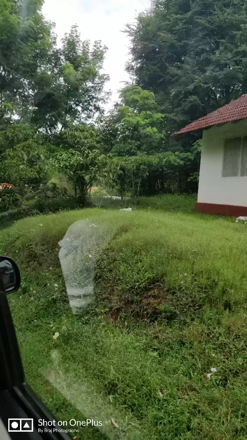 Photo of Amazing Coorg in Pre