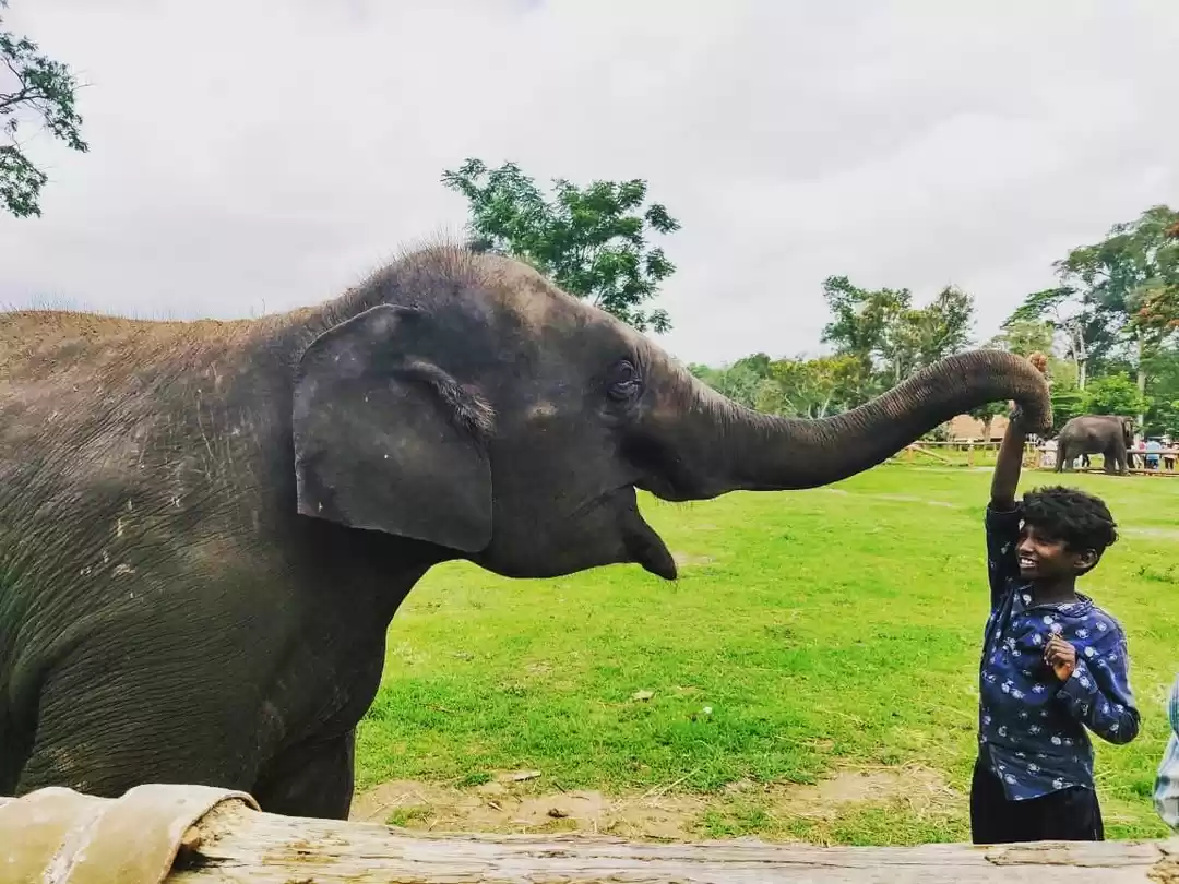 Photo of The Plateaus, The Gh