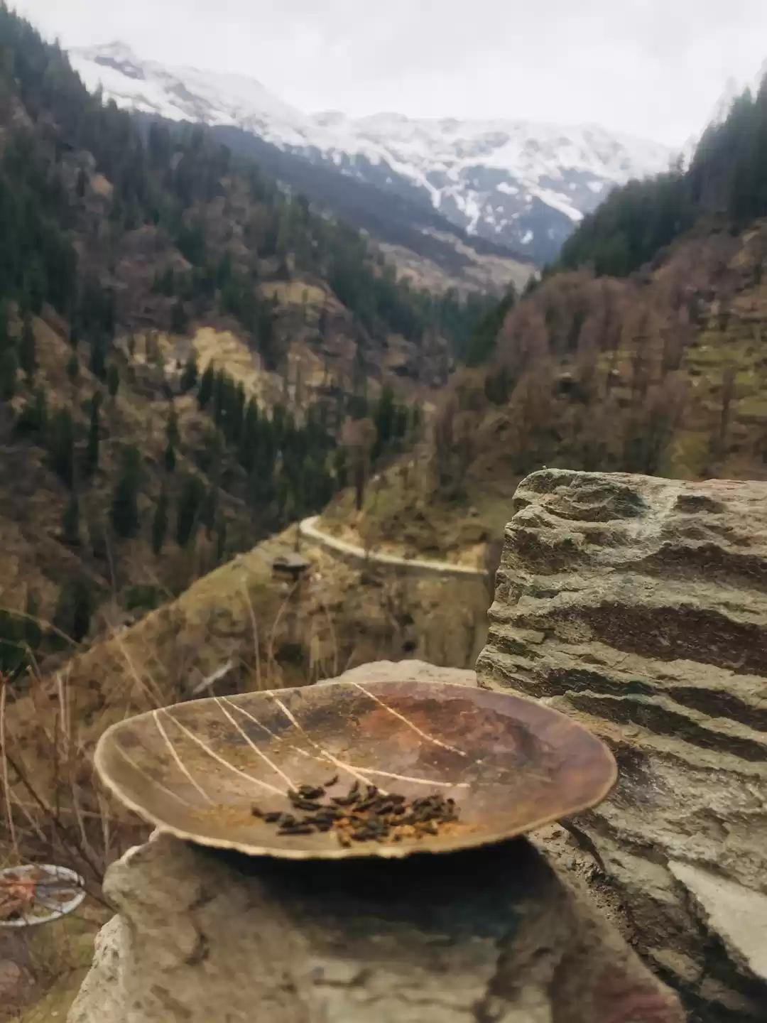 Photo of “ Mini Israel Of Ind