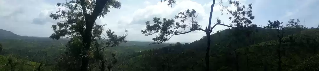 Photo of Bike ride -kalpetta 
