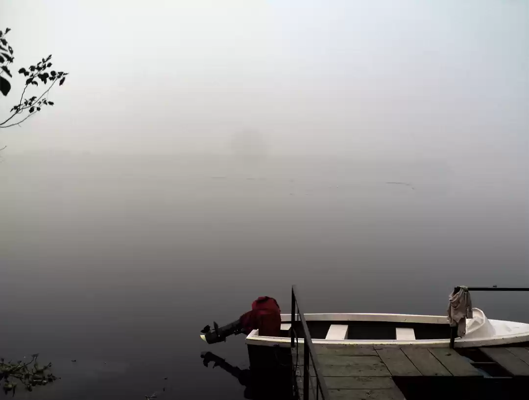 Photo of Okhla Bird Sanctuary