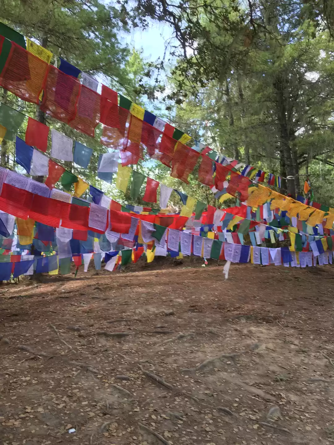 Photo of Lost in the varied n