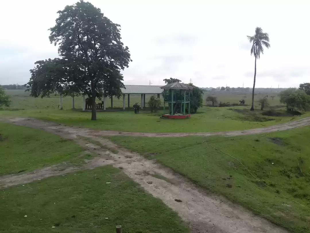 Photo of Abode of one horned 