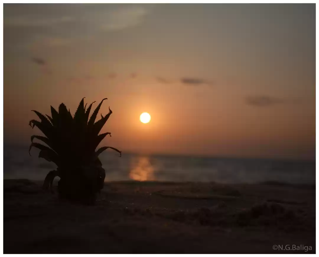 Photo of Sunset scenes from A