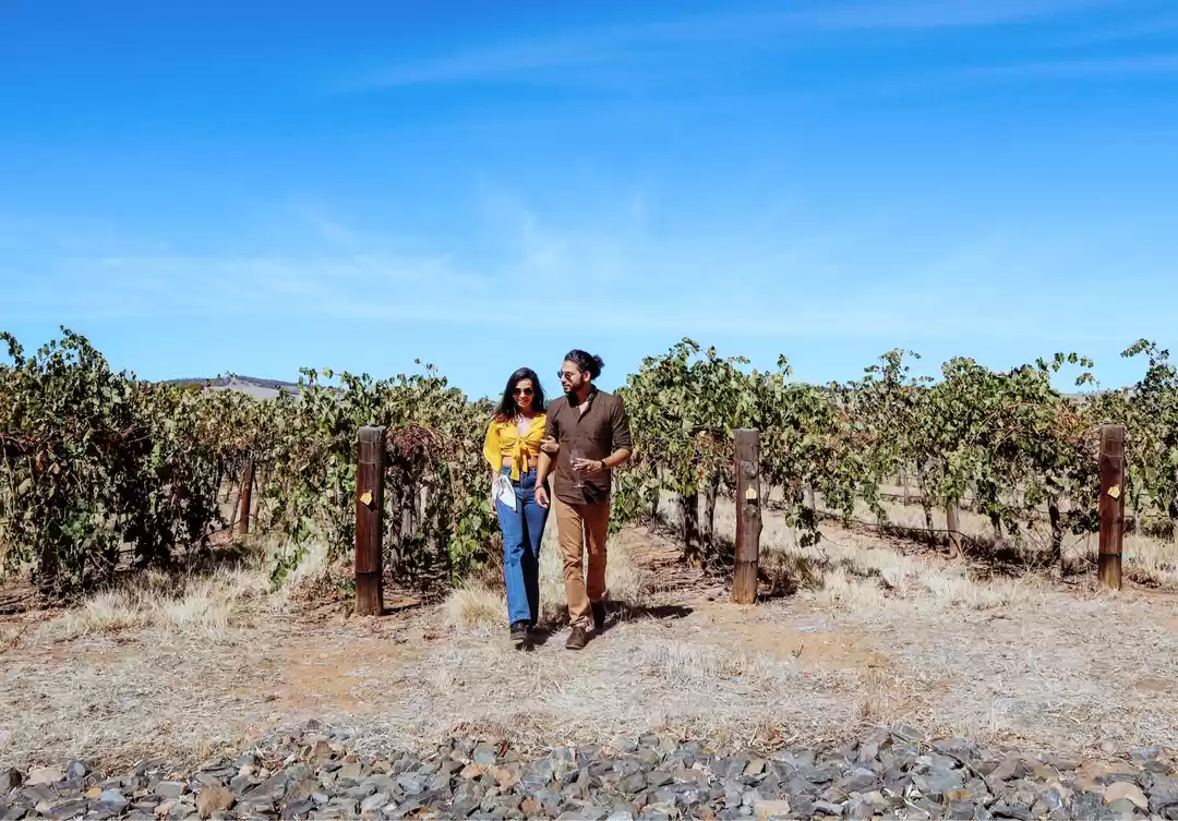 Photo of Wine with the Wild I