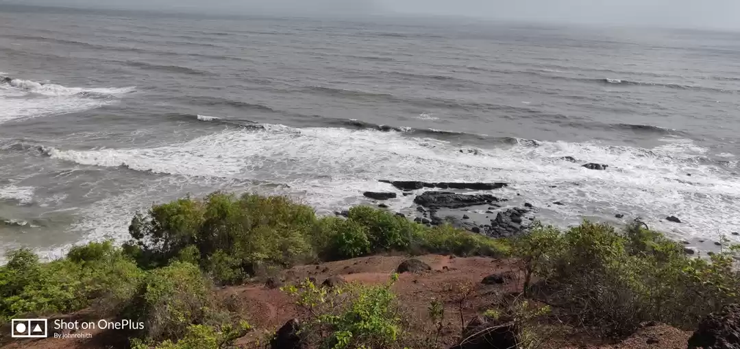 Photo of Go gone goa