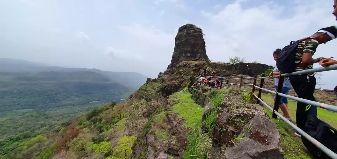 Photo of A walk in the woods: