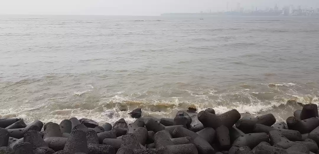 Photo of An evening at Marine
