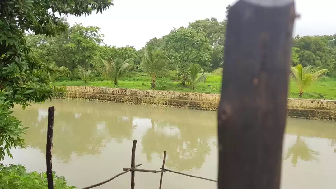 Photo of Time with Mother Nat