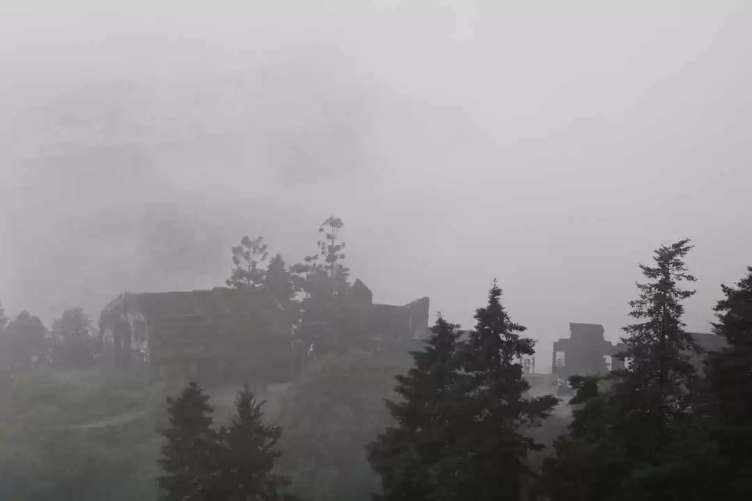 Photo of Don't get too close 