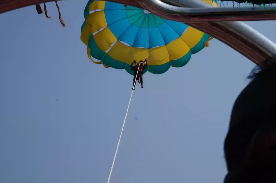 Photo of Free like a bird, fl