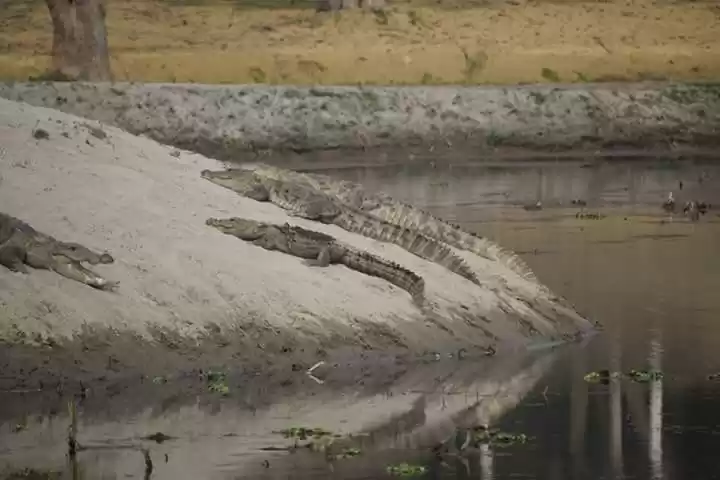 Photo of दर्जिनिया ताल: प्रकृ