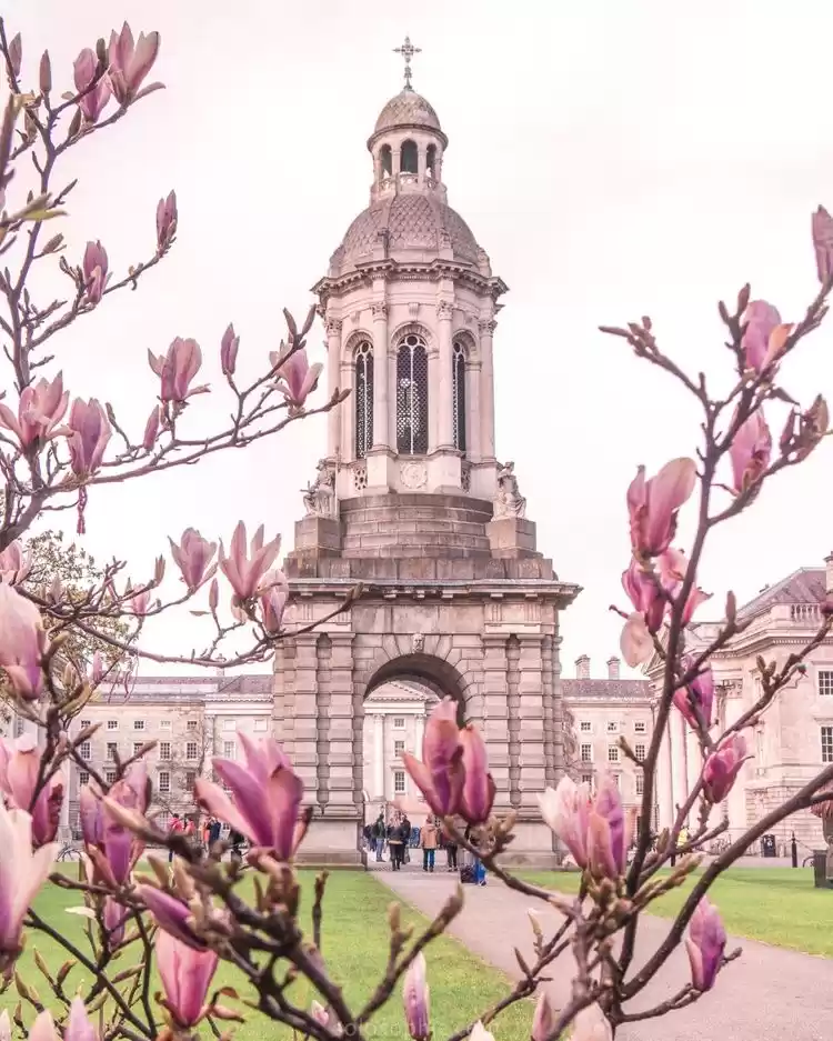 Photo of Dublin Diary - Page 