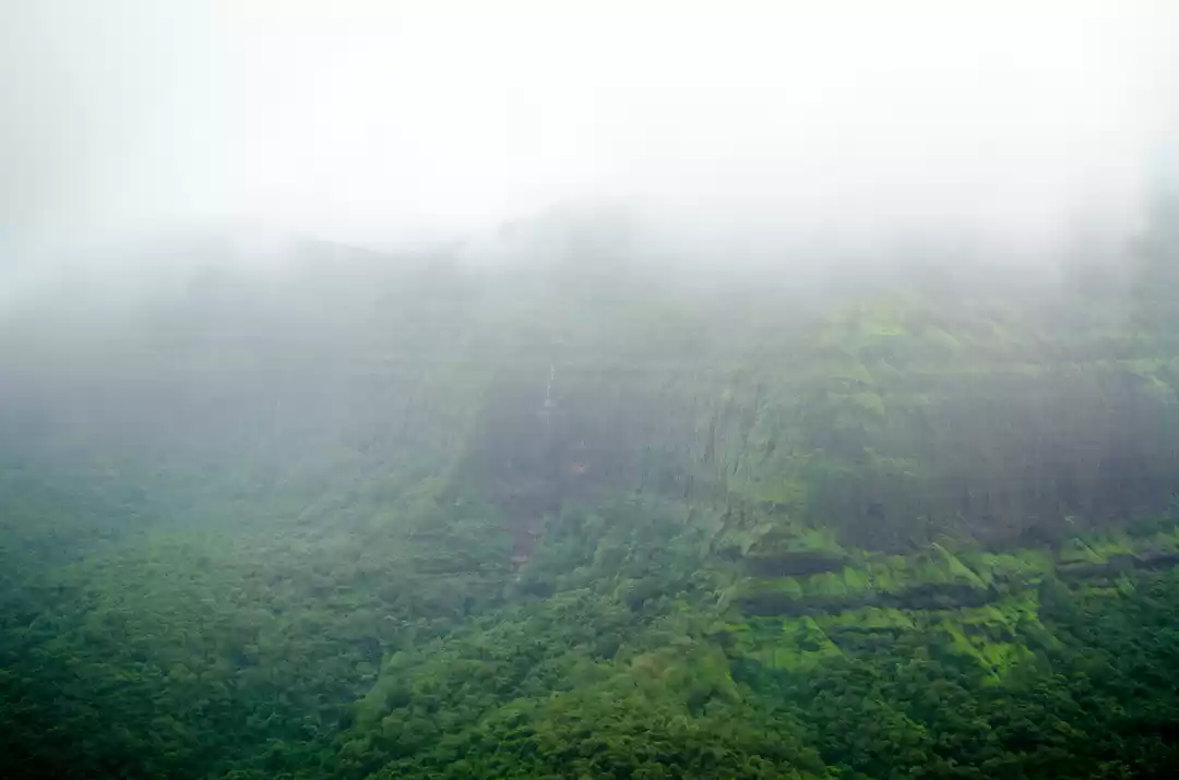 Photo of When you go camping,