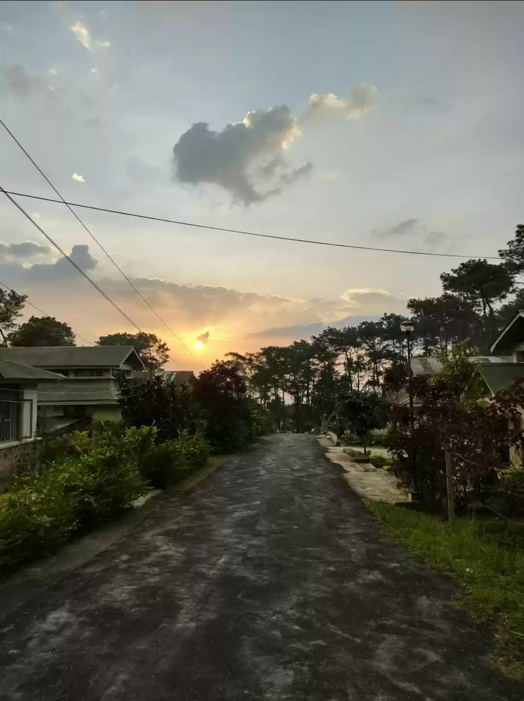 Photo of Sundar nazara