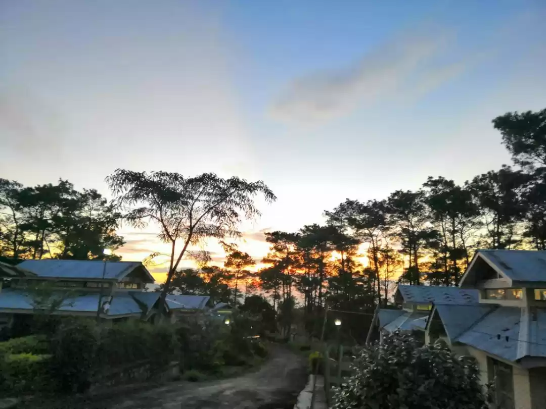 Photo of Ak sham jungle main