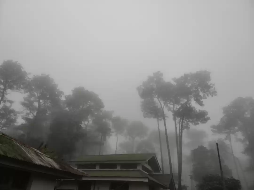 Photo of Smoky day