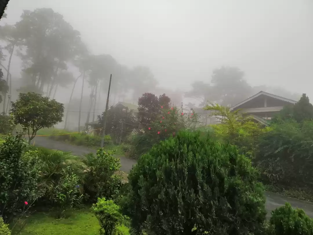 Photo of Amazing Trip