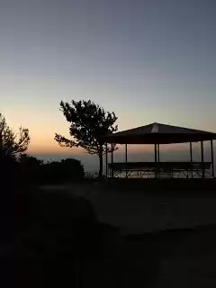 Photo of What is so special a