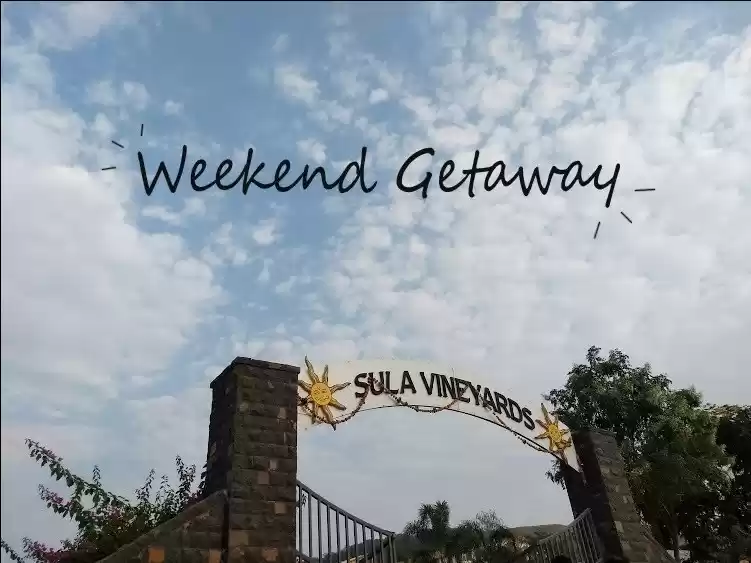 Photo of “Sula Vineyards” – B