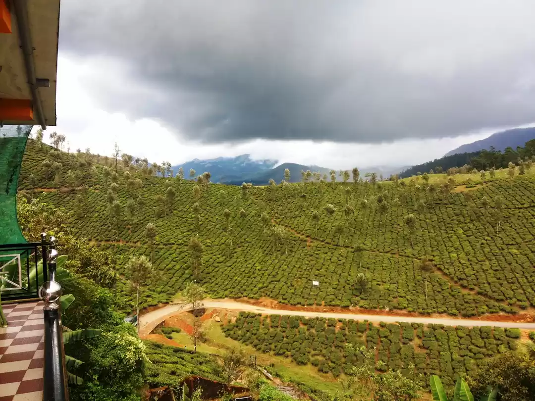 Photo of Valparai: a conflict