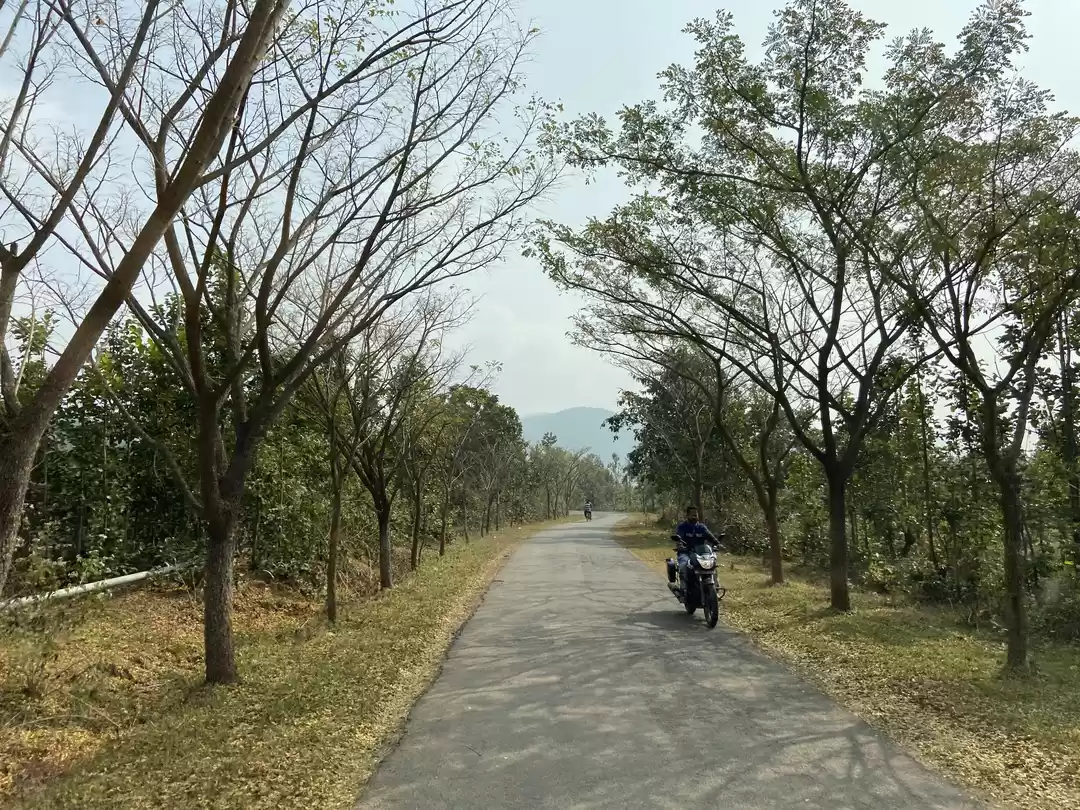 Photo of Daringbadi- The Kash