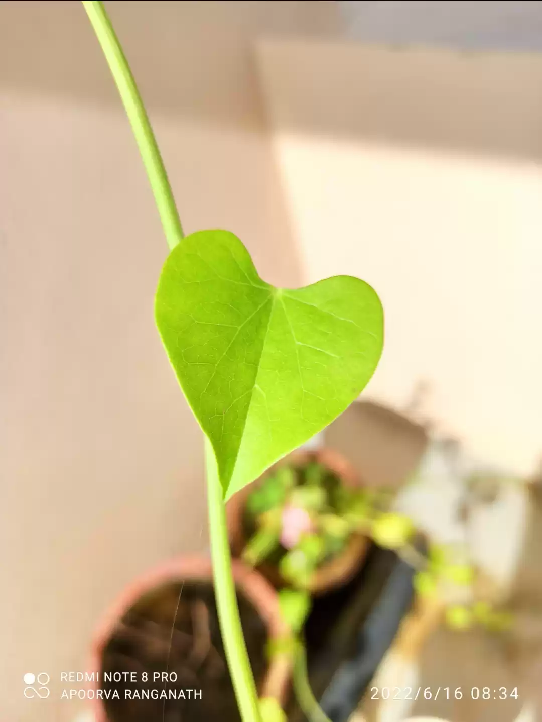 Photo of My Happy place 