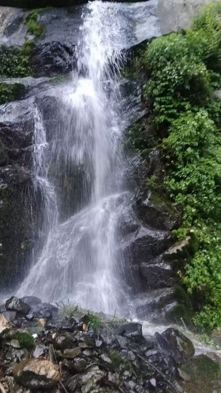 Photo of हिमाचल प्रदेश की बर