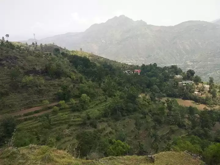 Photo of Pristine beauty of P