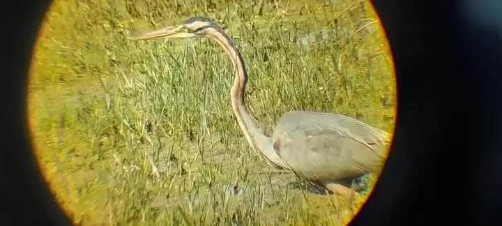 Photo of पंक्षियों के जंनत के