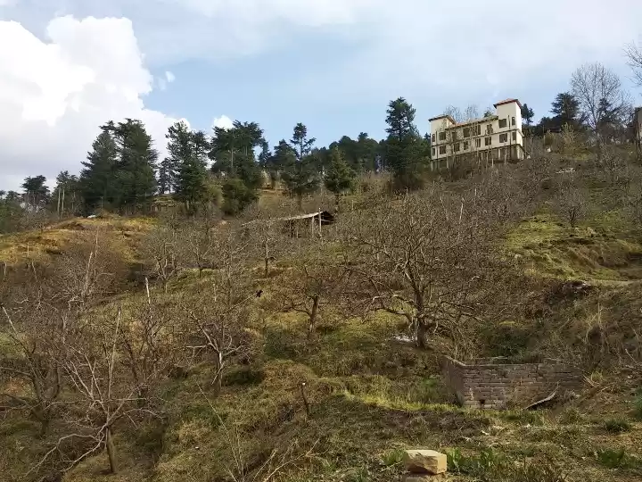 Photo of A day tour of Stokes